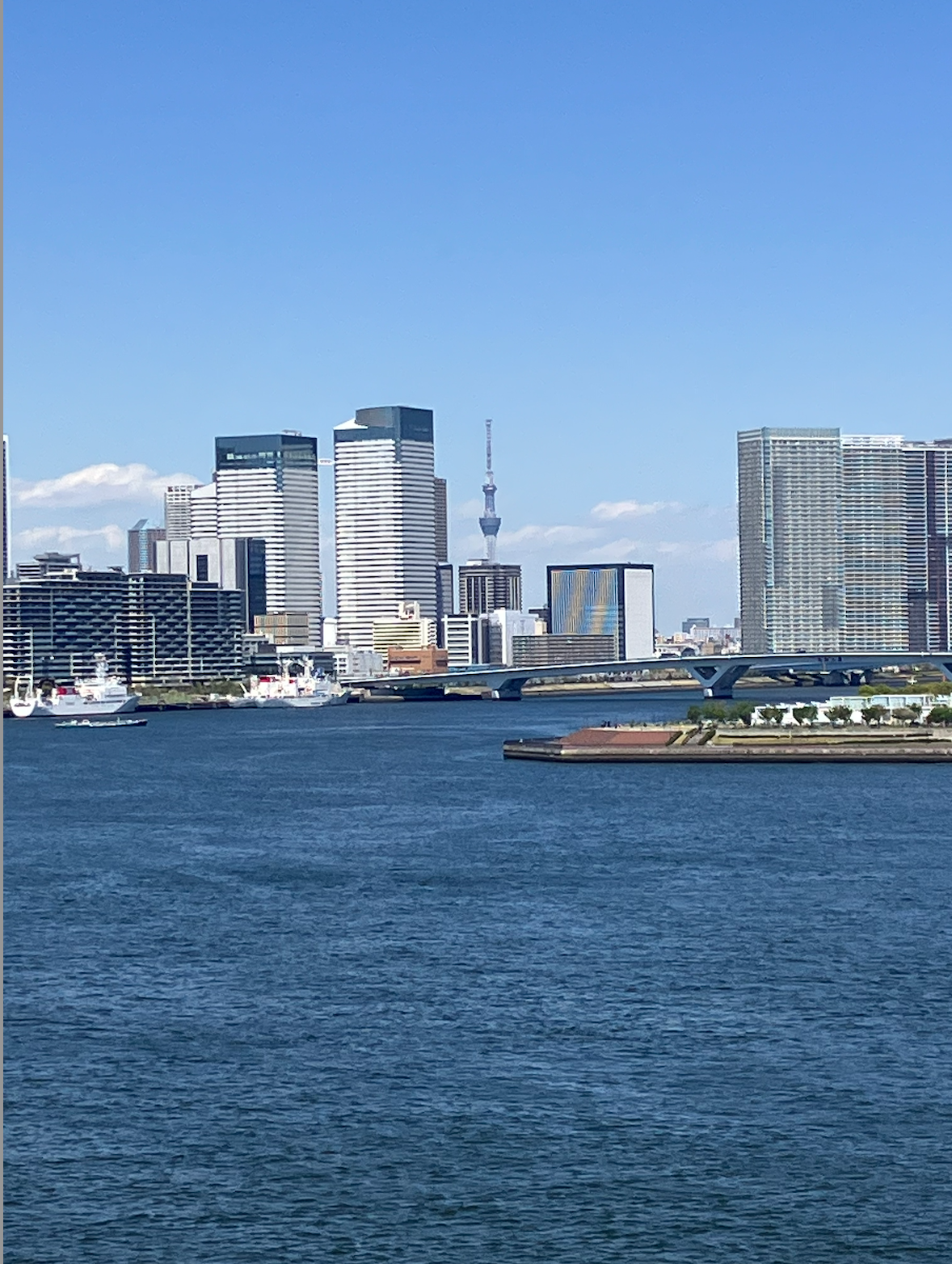 【2025年5月〜7月 ltm ポップアップイベントのお知らせ】
